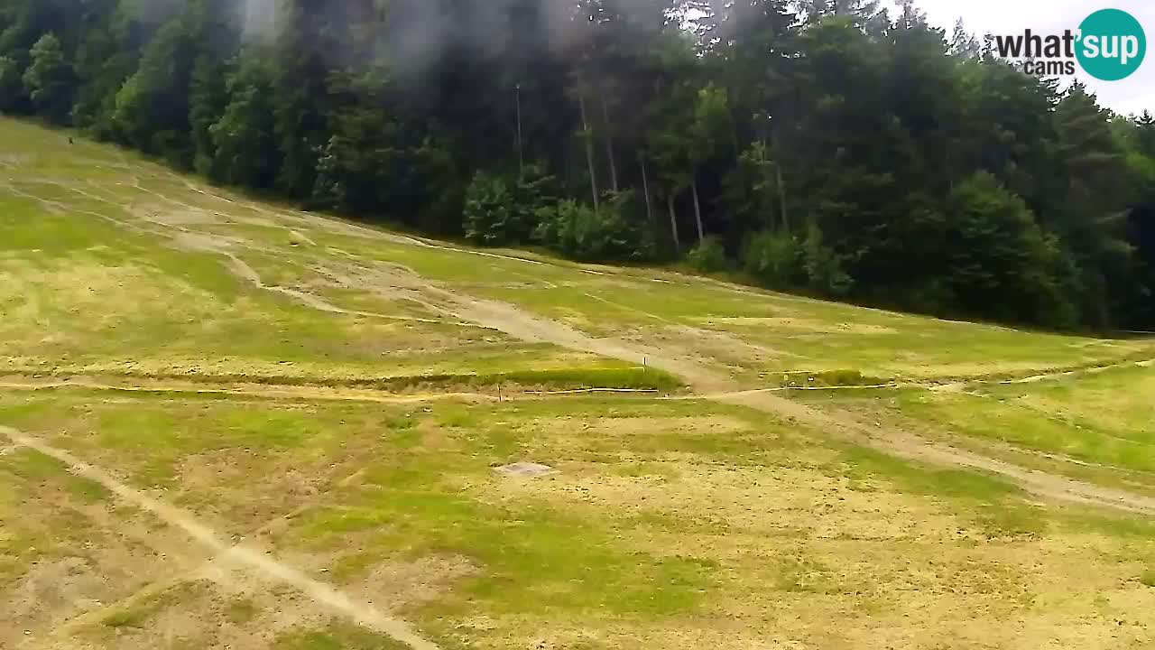 Webcam Pohorje Trikotna Jasa | Poštela