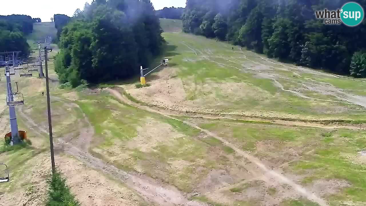 Web Camera Pohorje Trikotna Jasa | Poštela