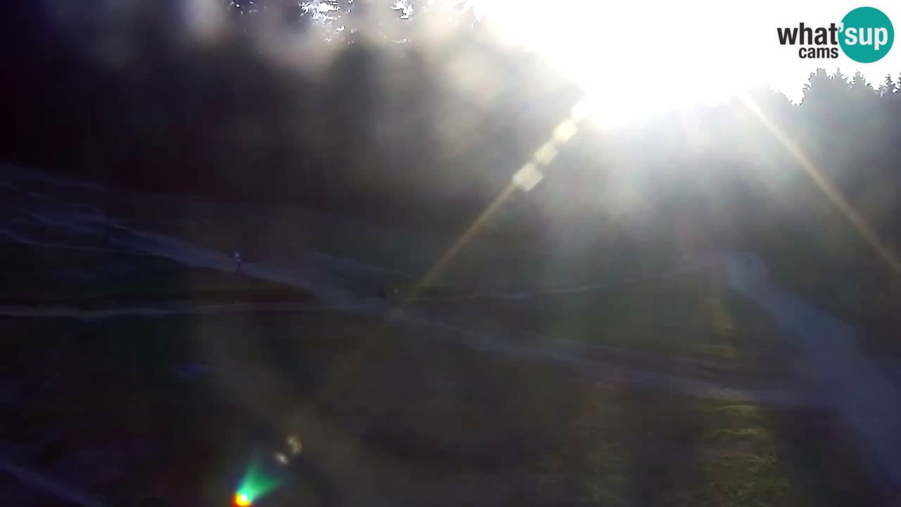 Webcam Pohorje Trikotna Jasa | Poštela