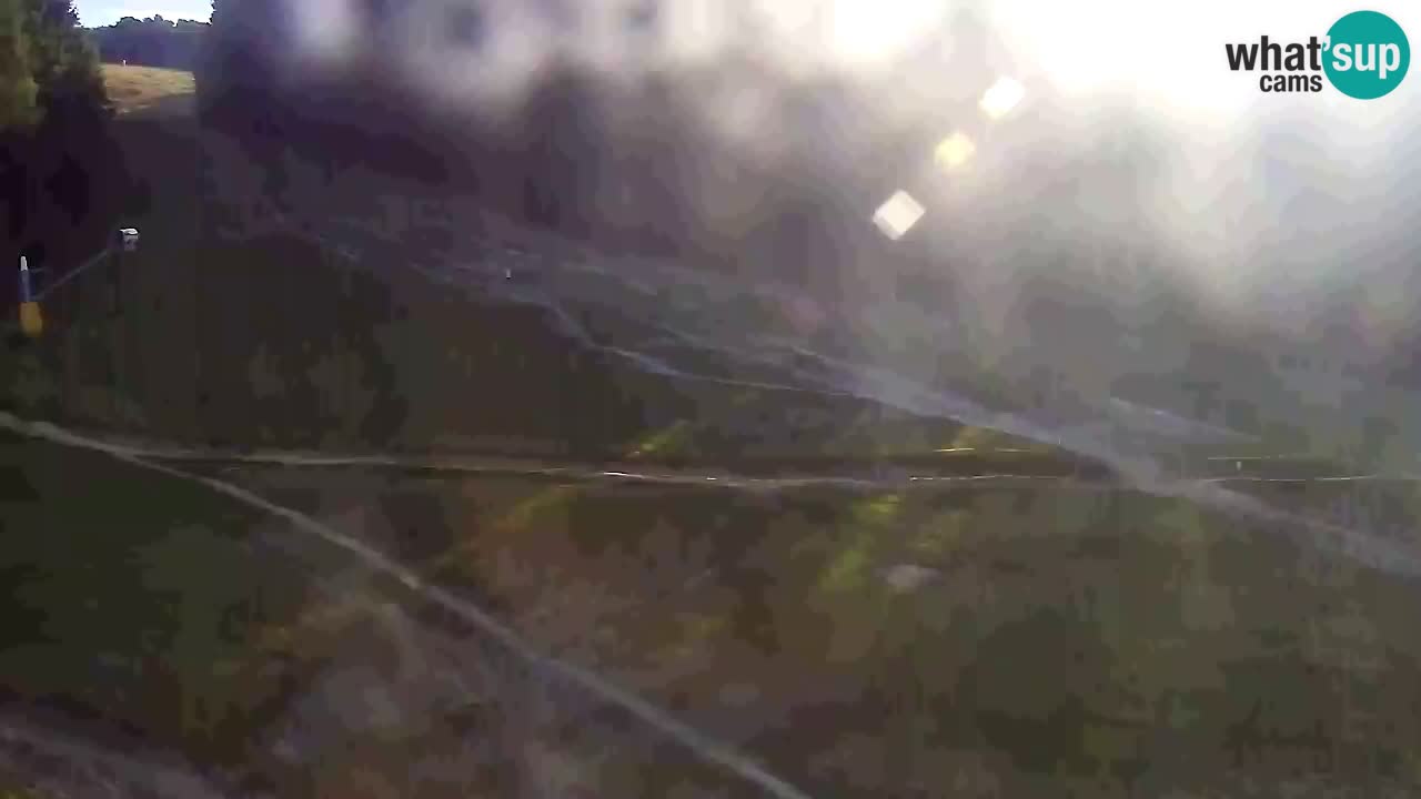 Webcam Pohorje Trikotna Jasa | Poštela