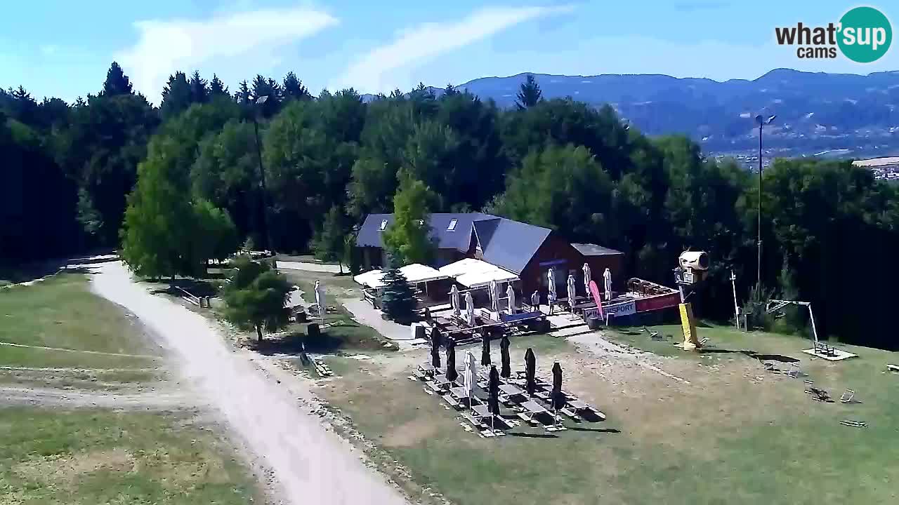 Webcam Pohorje Trikotna Jasa | Poštela