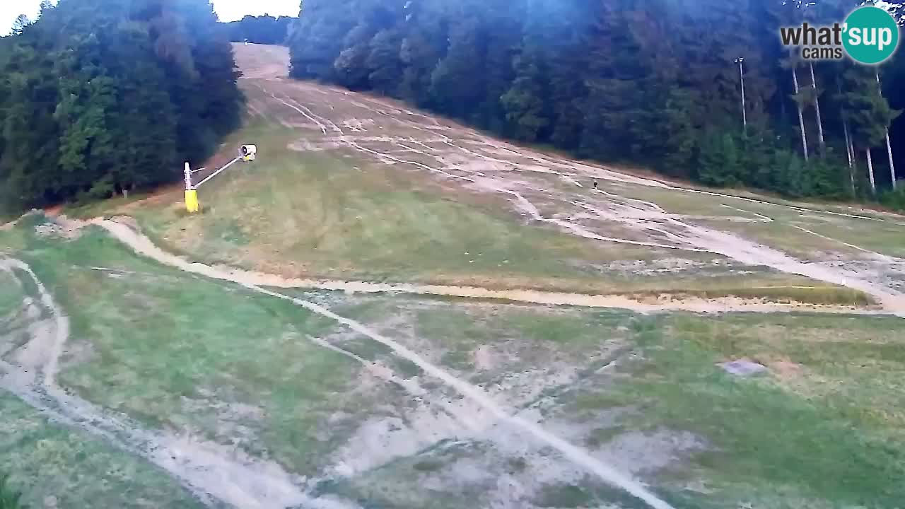 Webcam Pohorje Trikotna Jasa | Poštela