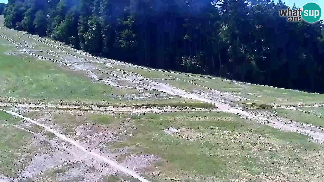 Webcam Pohorje Trikotna Jasa | Poštela