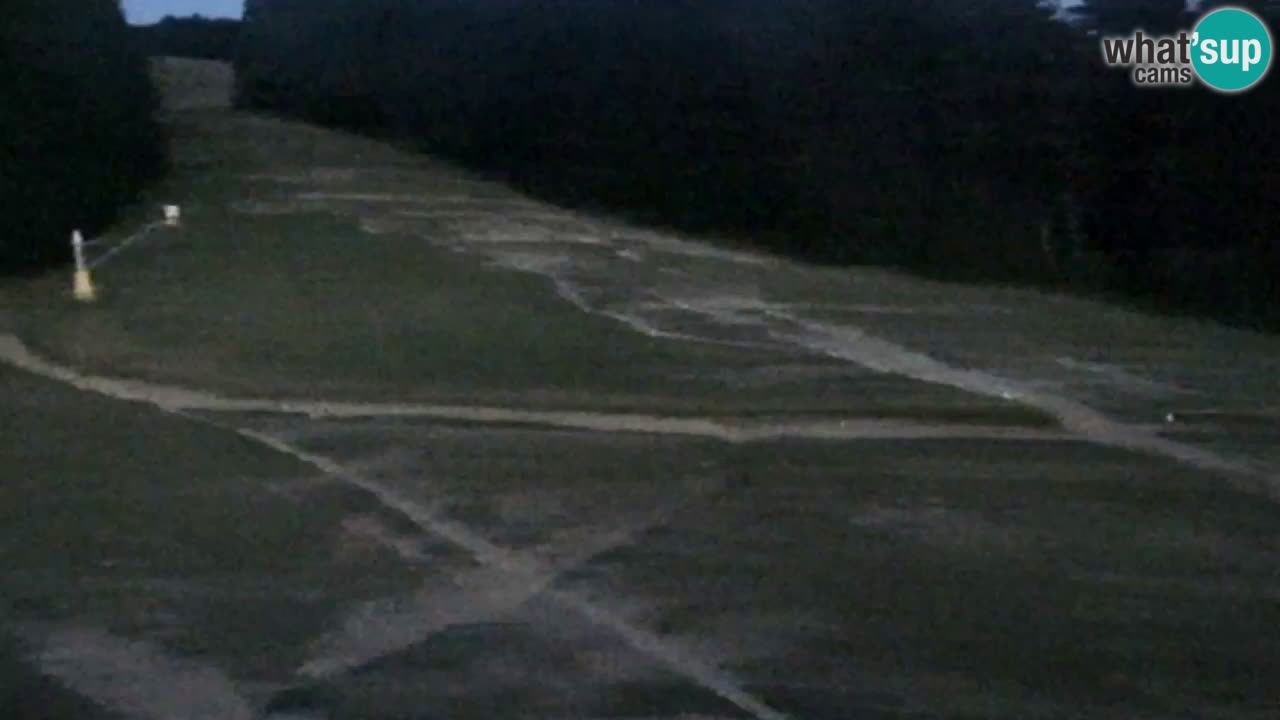 Webcam Pohorje Trikotna Jasa | Poštela