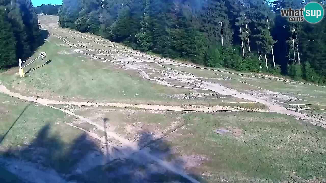 Spletna Kamera Pohorje Trikotna Jasa | Poštela