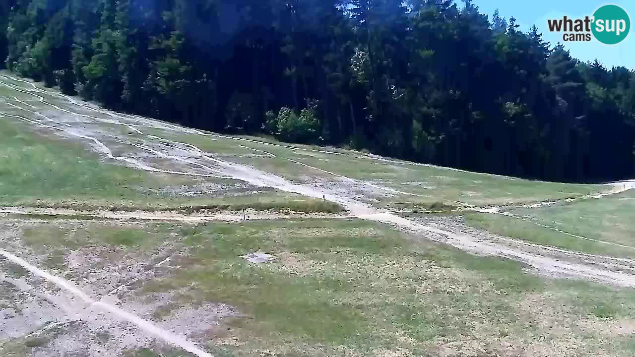 Webcam Pohorje Trikotna Jasa | Poštela