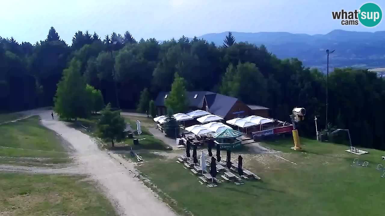 Webcam Pohorje Trikotna Jasa | Poštela