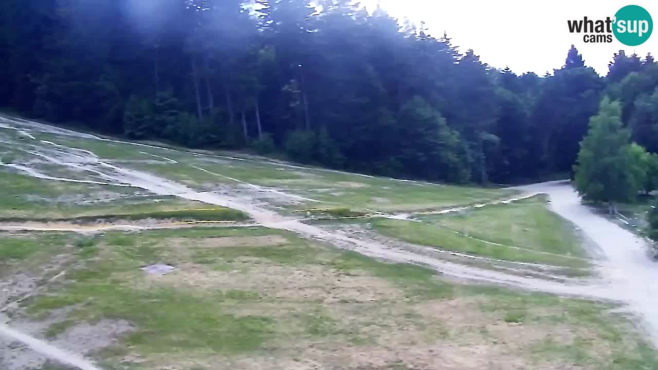 Web Camera Pohorje Trikotna Jasa | Poštela
