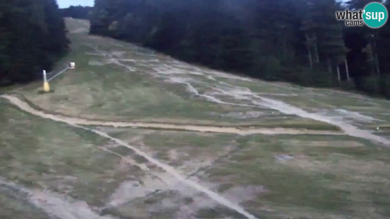 Webcam Pohorje Trikotna Jasa | Poštela