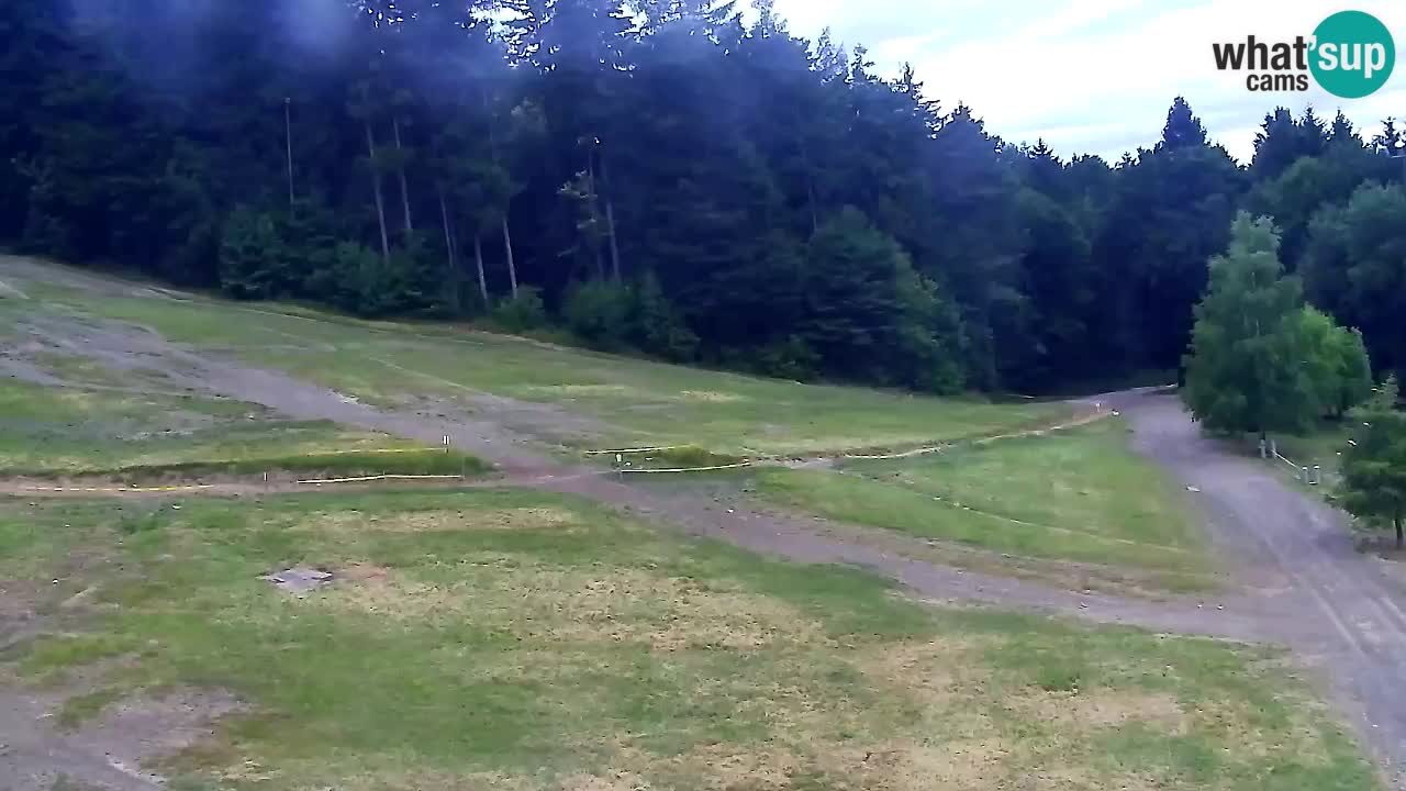 Webcam Pohorje Trikotna Jasa | Poštela