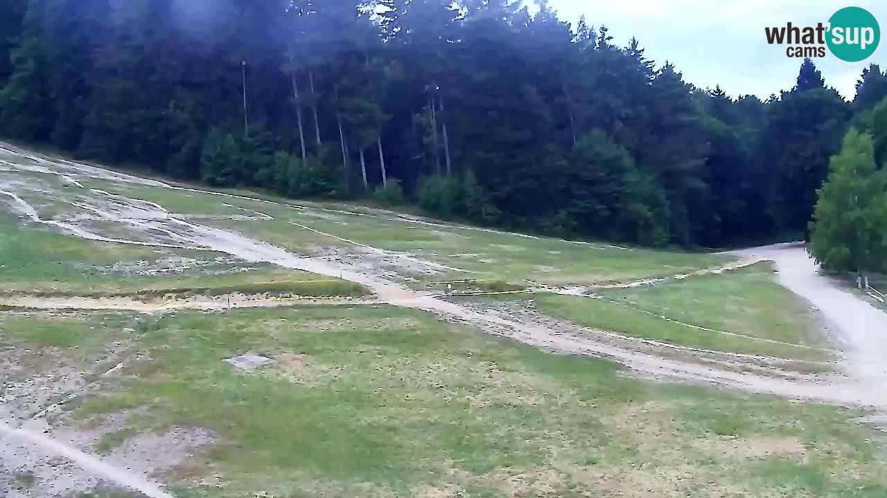 Webcam Pohorje Trikotna Jasa | Poštela