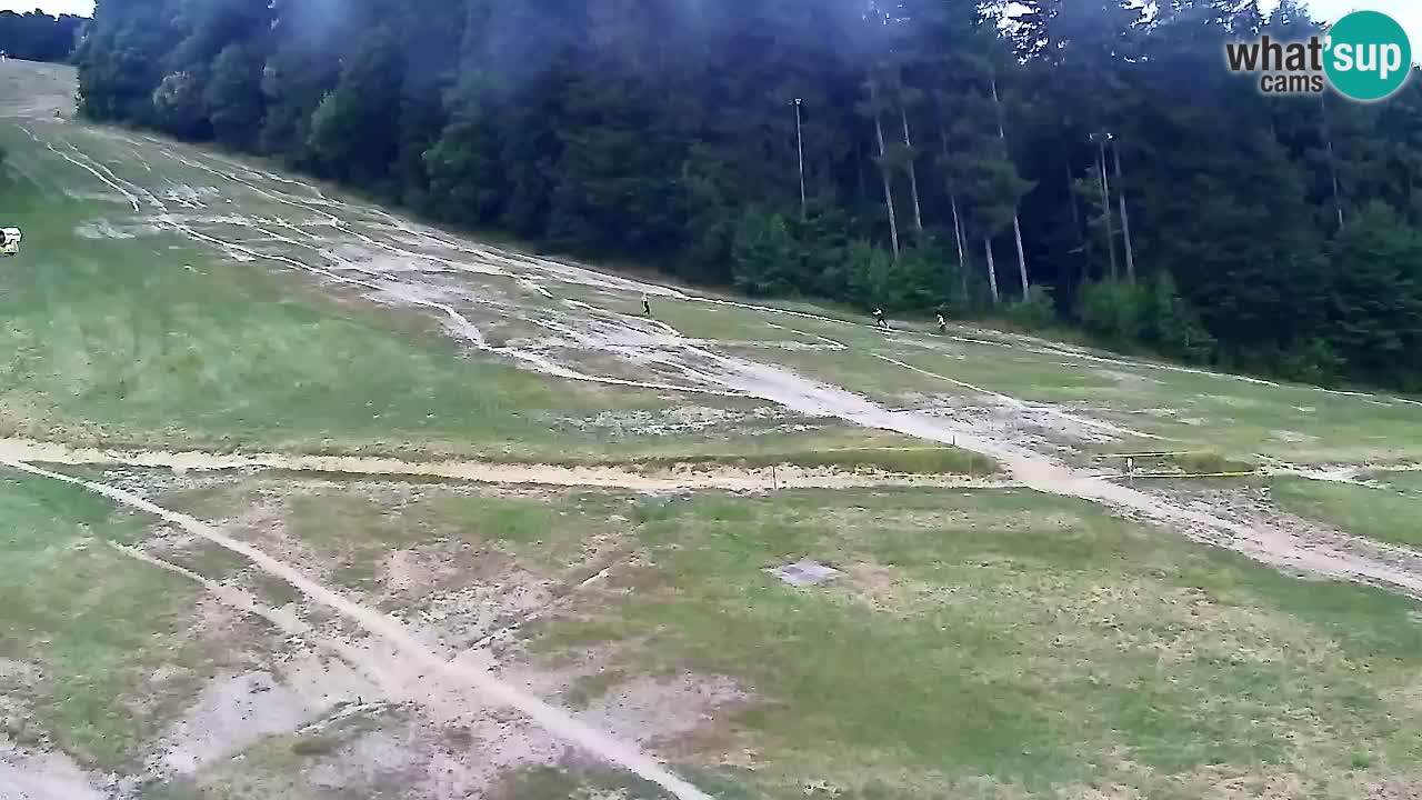 Webcam Pohorje Trikotna Jasa | Poštela