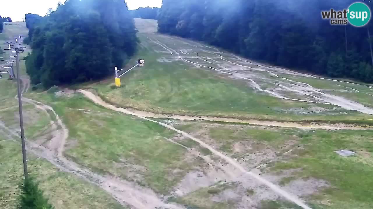 Webcam Pohorje Trikotna Jasa | Poštela