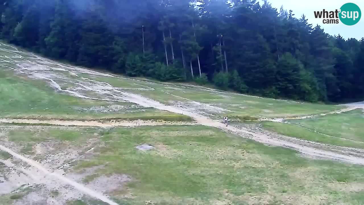 Webcam Pohorje Trikotna Jasa | Poštela