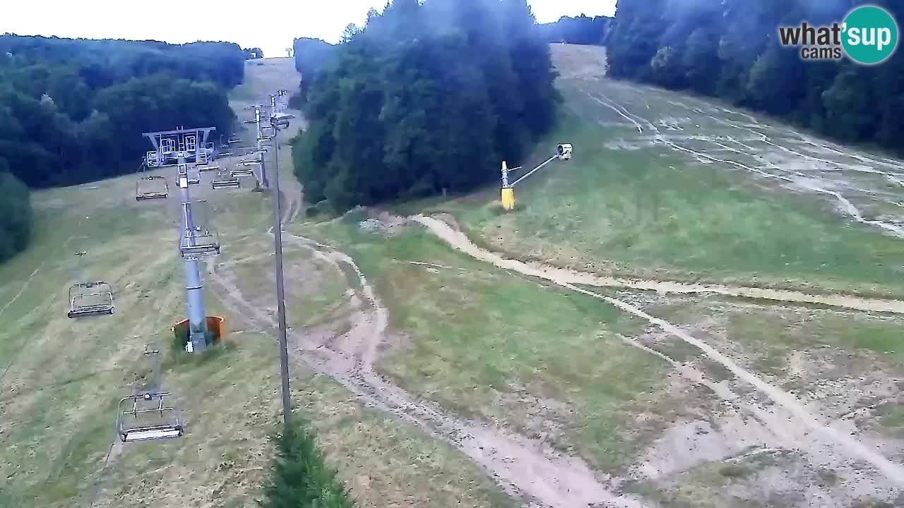 Web kamera Pohorje Trikotna Jasa | Poštela