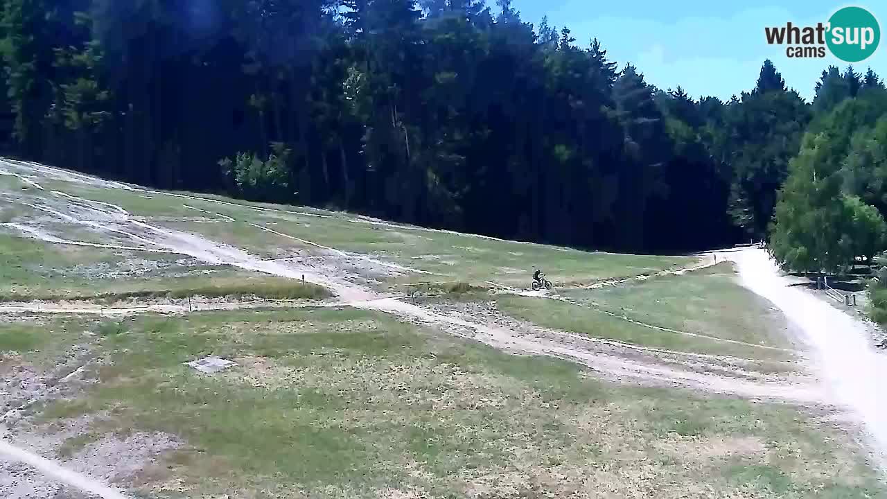 Spletna Kamera Pohorje Trikotna Jasa | Poštela