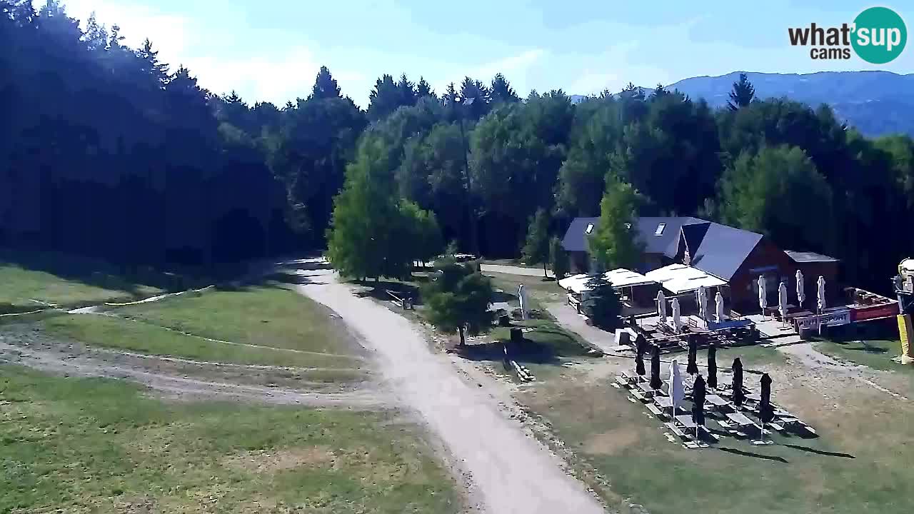 Web Camera Pohorje Trikotna Jasa | Poštela