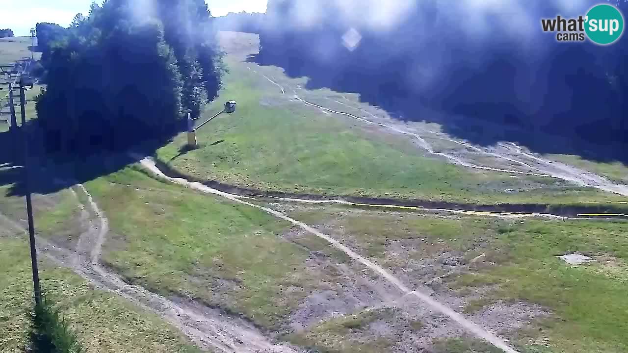 Web Camera Pohorje Trikotna Jasa | Poštela
