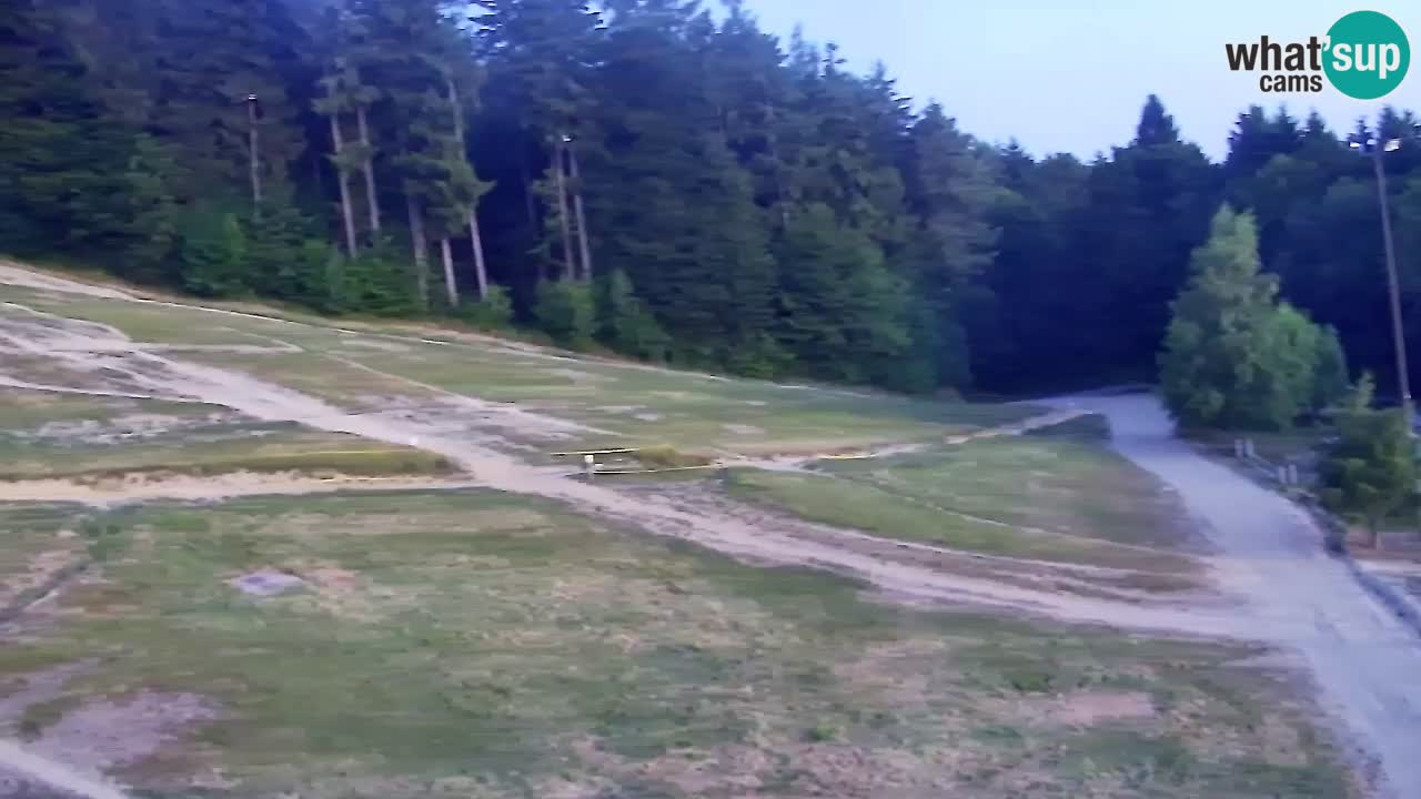 Webcam Pohorje Trikotna Jasa | Poštela