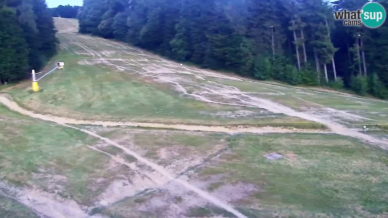 Webcam Pohorje Trikotna Jasa | Poštela