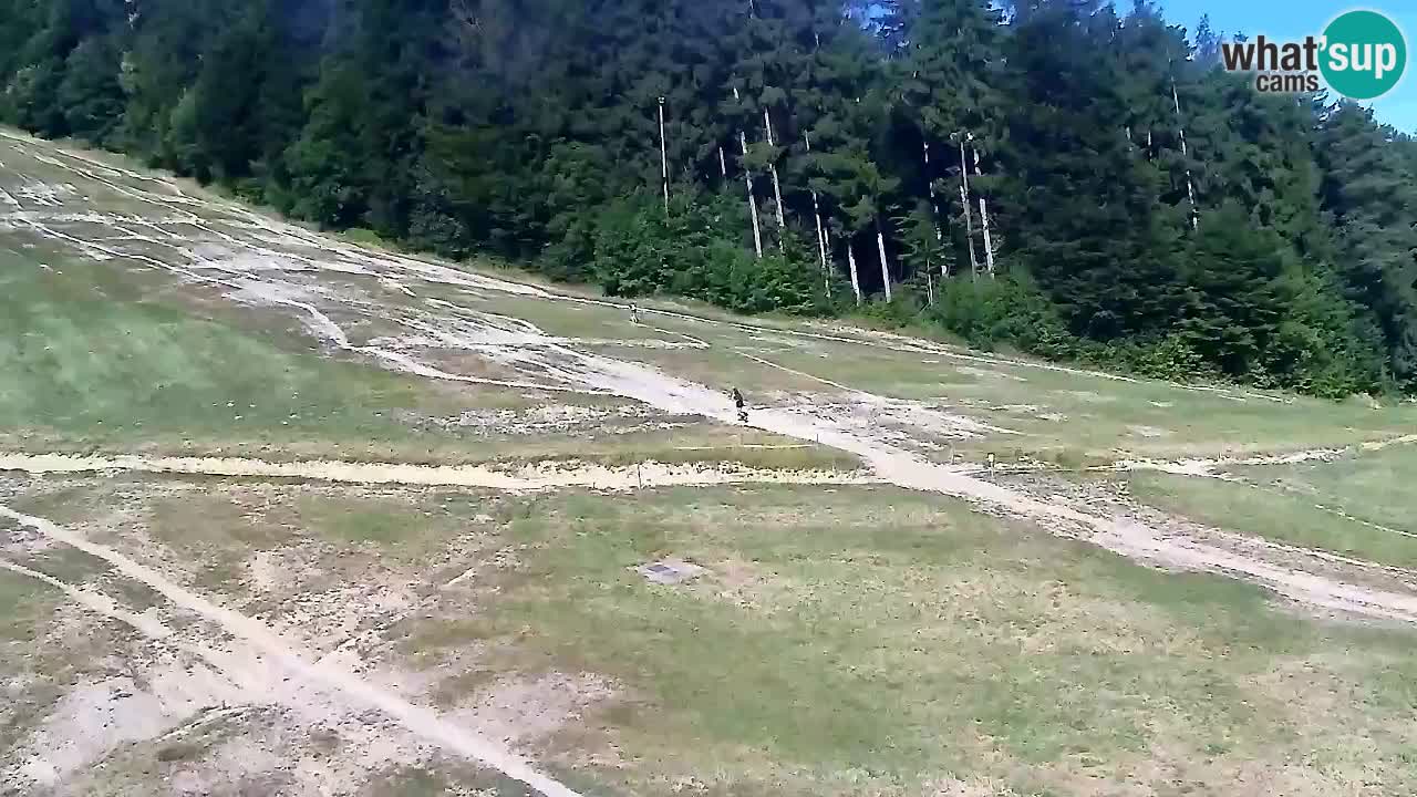 Webcam Pohorje Trikotna Jasa | Poštela