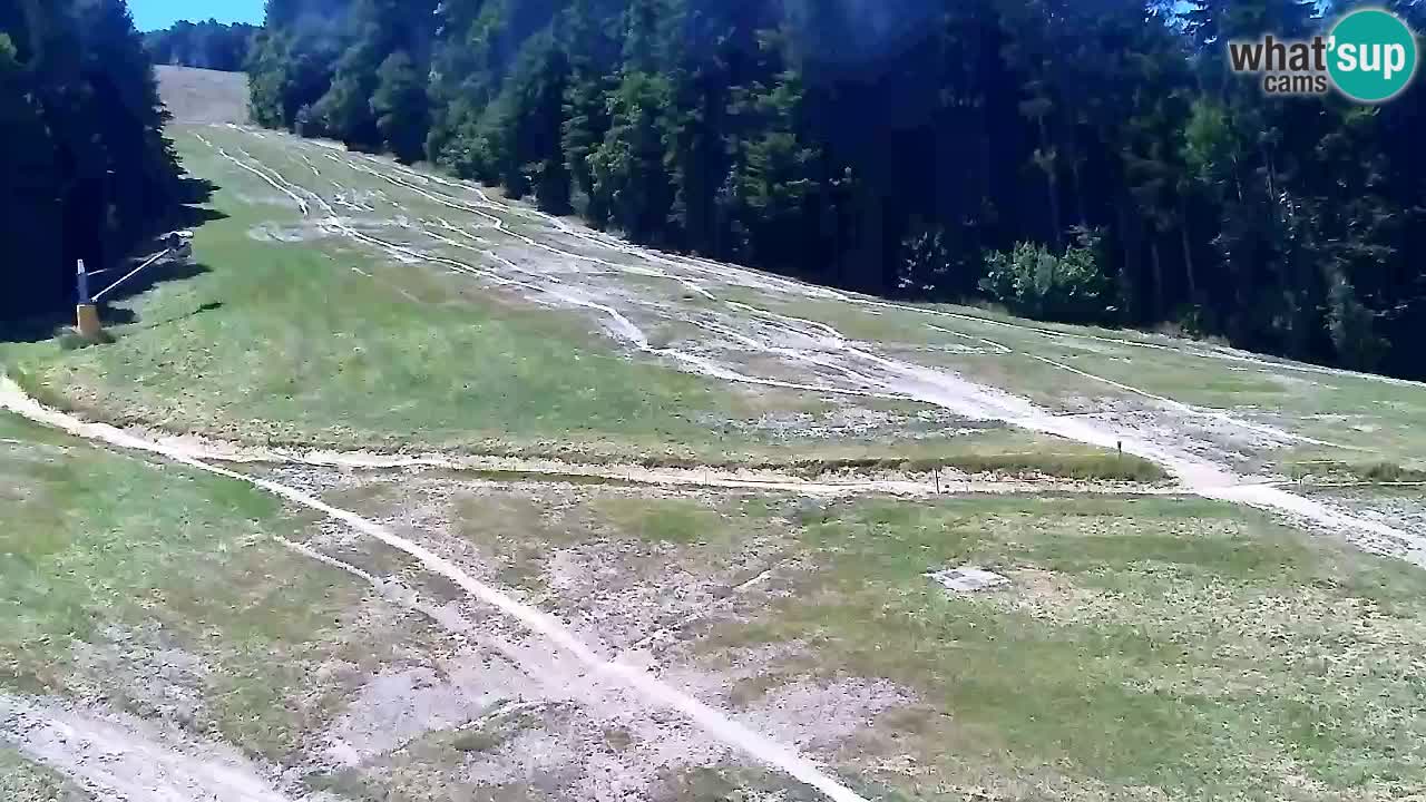 Web Camera Pohorje Trikotna Jasa | Poštela