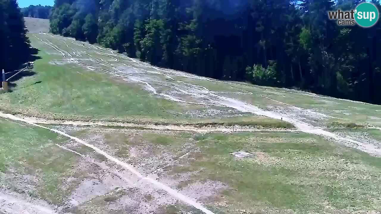 Webcam Pohorje Trikotna Jasa | Poštela