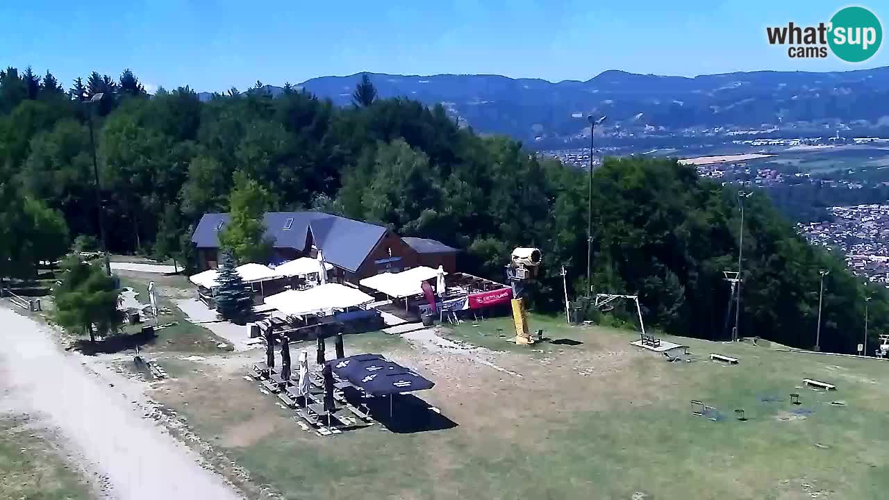 Webcam Pohorje Trikotna Jasa | Poštela