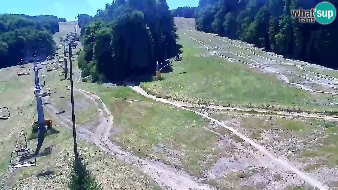 Webcam Pohorje Trikotna Jasa | Poštela