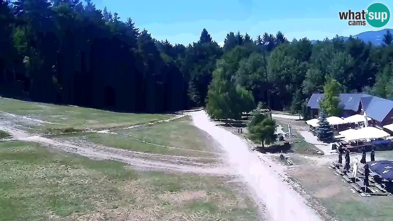 Webcam Pohorje Trikotna Jasa | Poštela