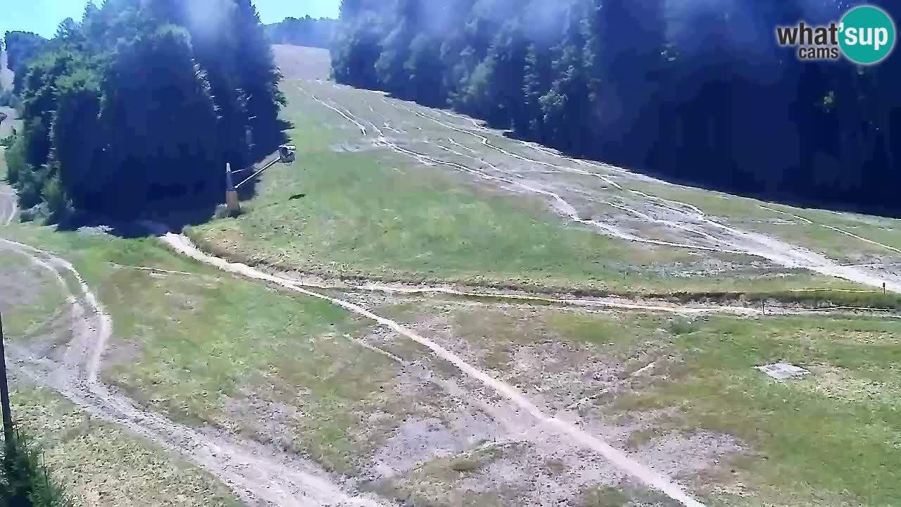 Webcam Pohorje Trikotna Jasa | Poštela