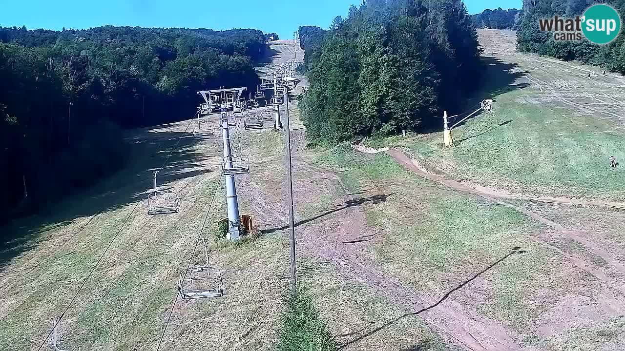 Webcam Pohorje Trikotna Jasa | Poštela