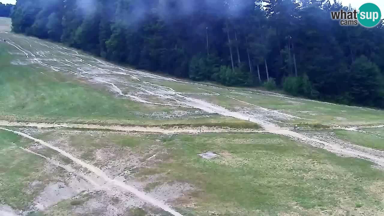 Webcam Pohorje Trikotna Jasa | Poštela
