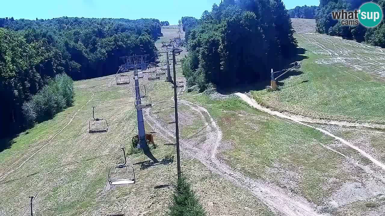 Webcam Pohorje Trikotna Jasa | Poštela