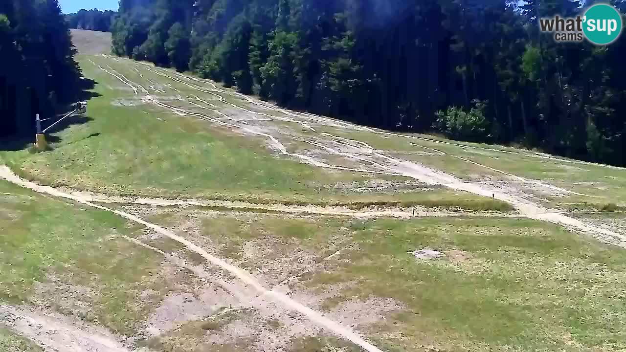 Webcam Pohorje Trikotna Jasa | Poštela