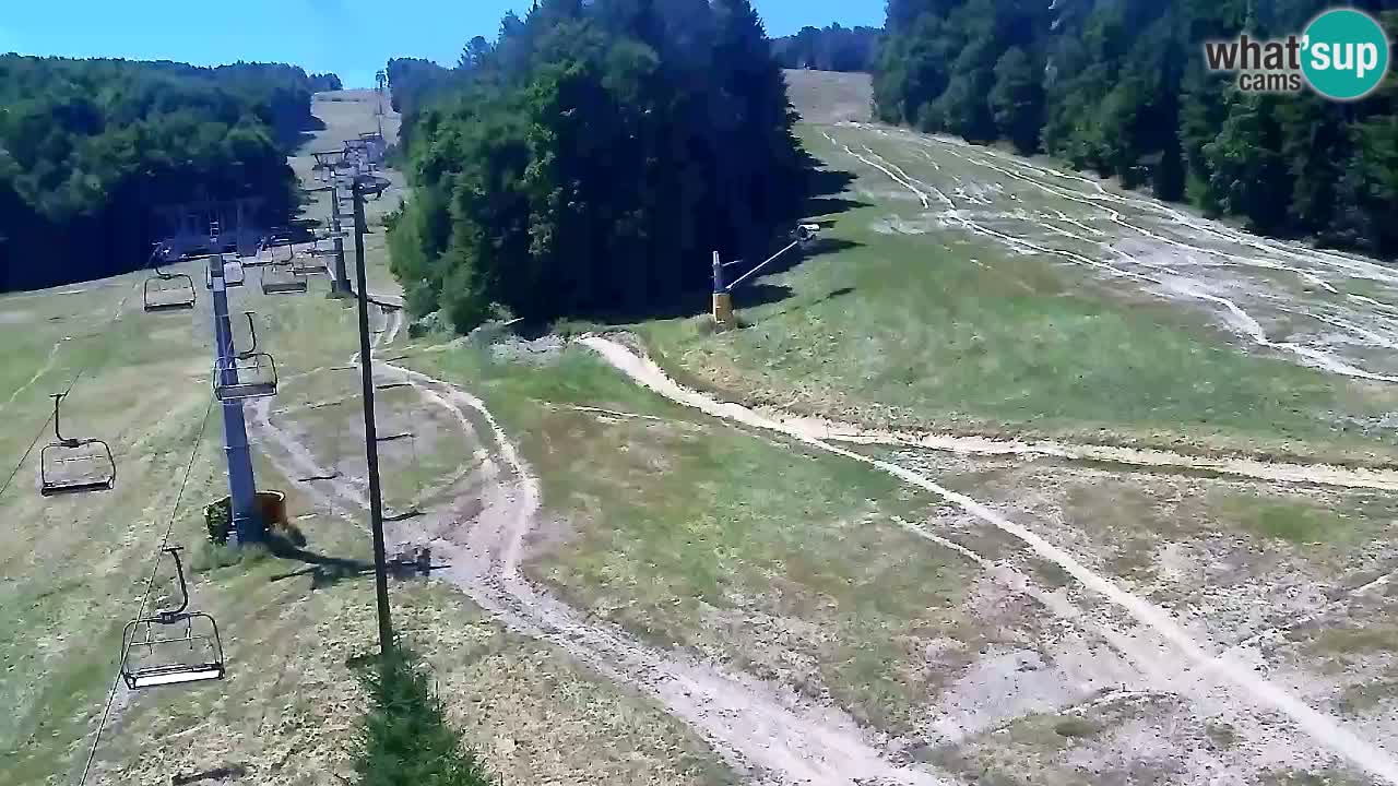 Webcam Pohorje Trikotna Jasa | Poštela