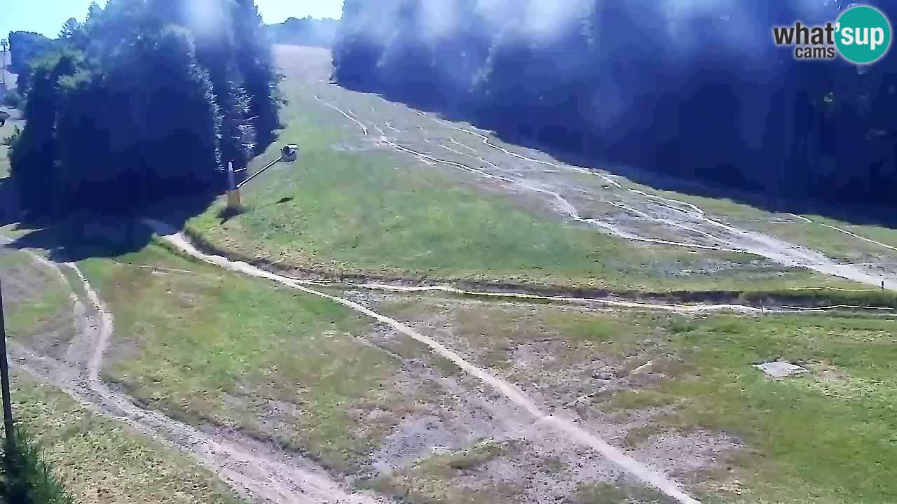 Webcam Pohorje Trikotna Jasa | Poštela