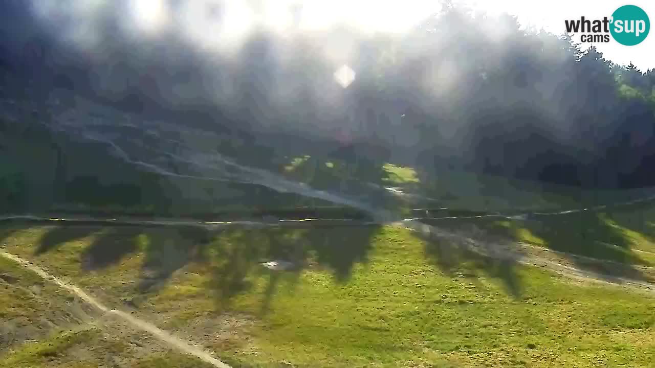 Webcam Pohorje Trikotna Jasa | Poštela