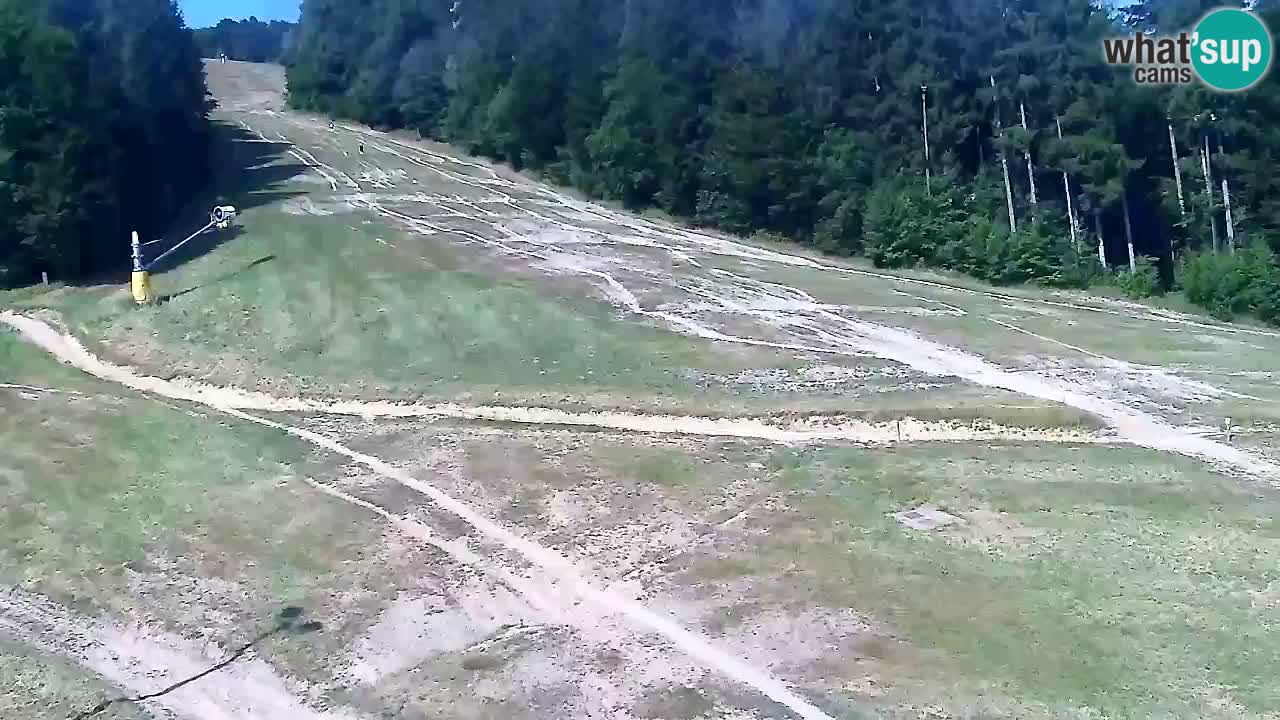 Web Camera Pohorje Trikotna Jasa | Poštela