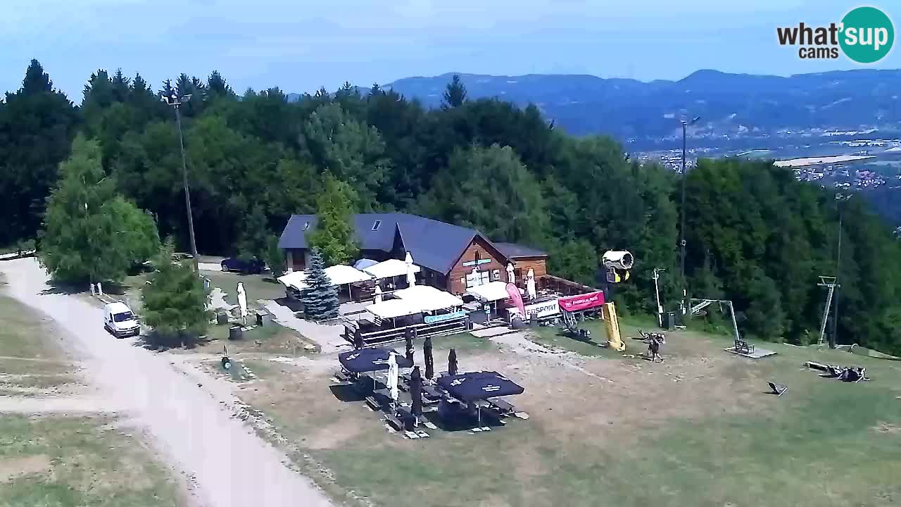 Webcam Pohorje Trikotna Jasa | Poštela