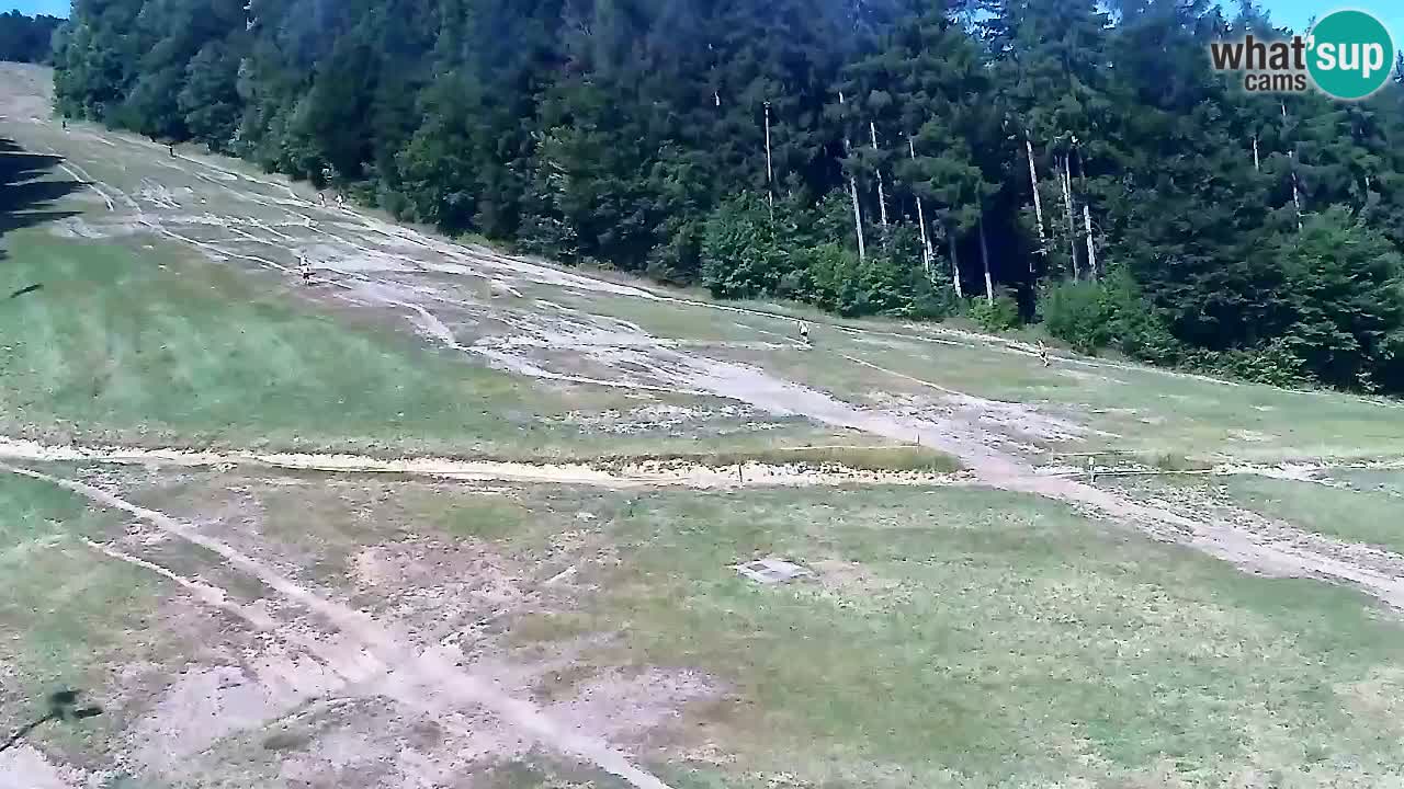 Webcam Pohorje Trikotna Jasa | Poštela