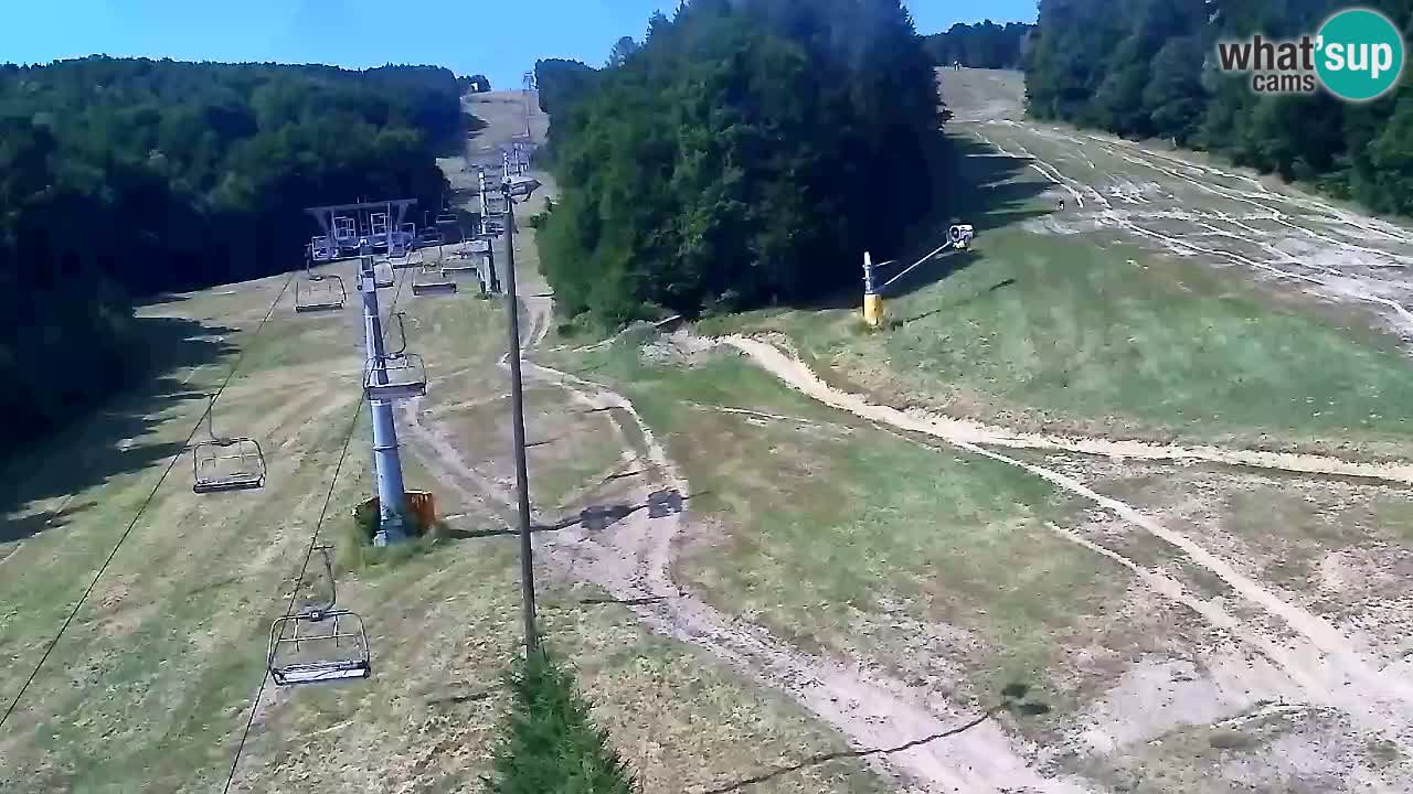 Webcam Pohorje Trikotna Jasa | Poštela