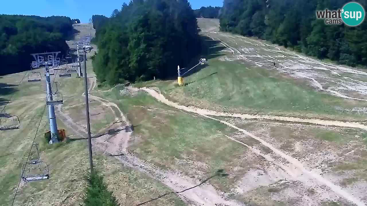 Webcam Pohorje Trikotna Jasa | Poštela