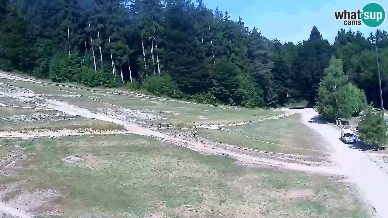 Web Camera Pohorje Trikotna Jasa | Poštela