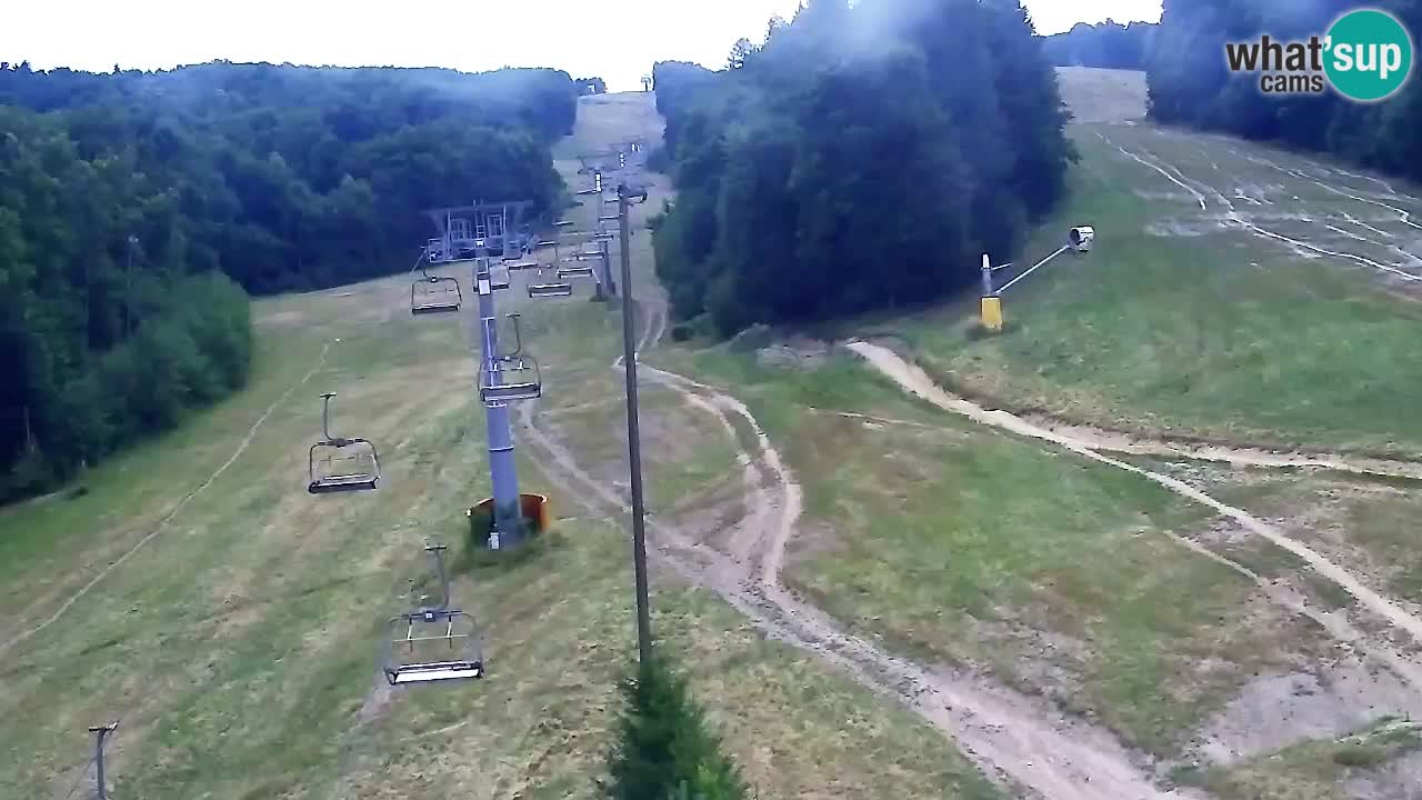 Web Camera Pohorje Trikotna Jasa | Poštela