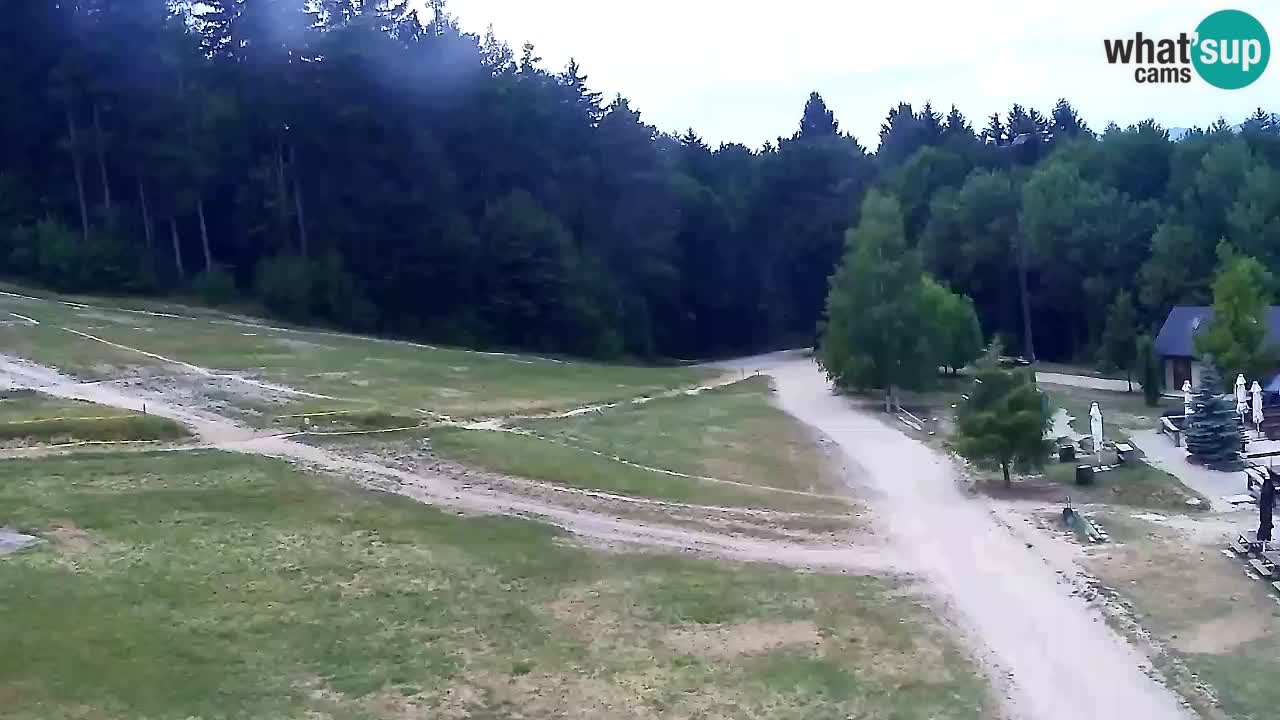 Webcam Pohorje Trikotna Jasa | Poštela