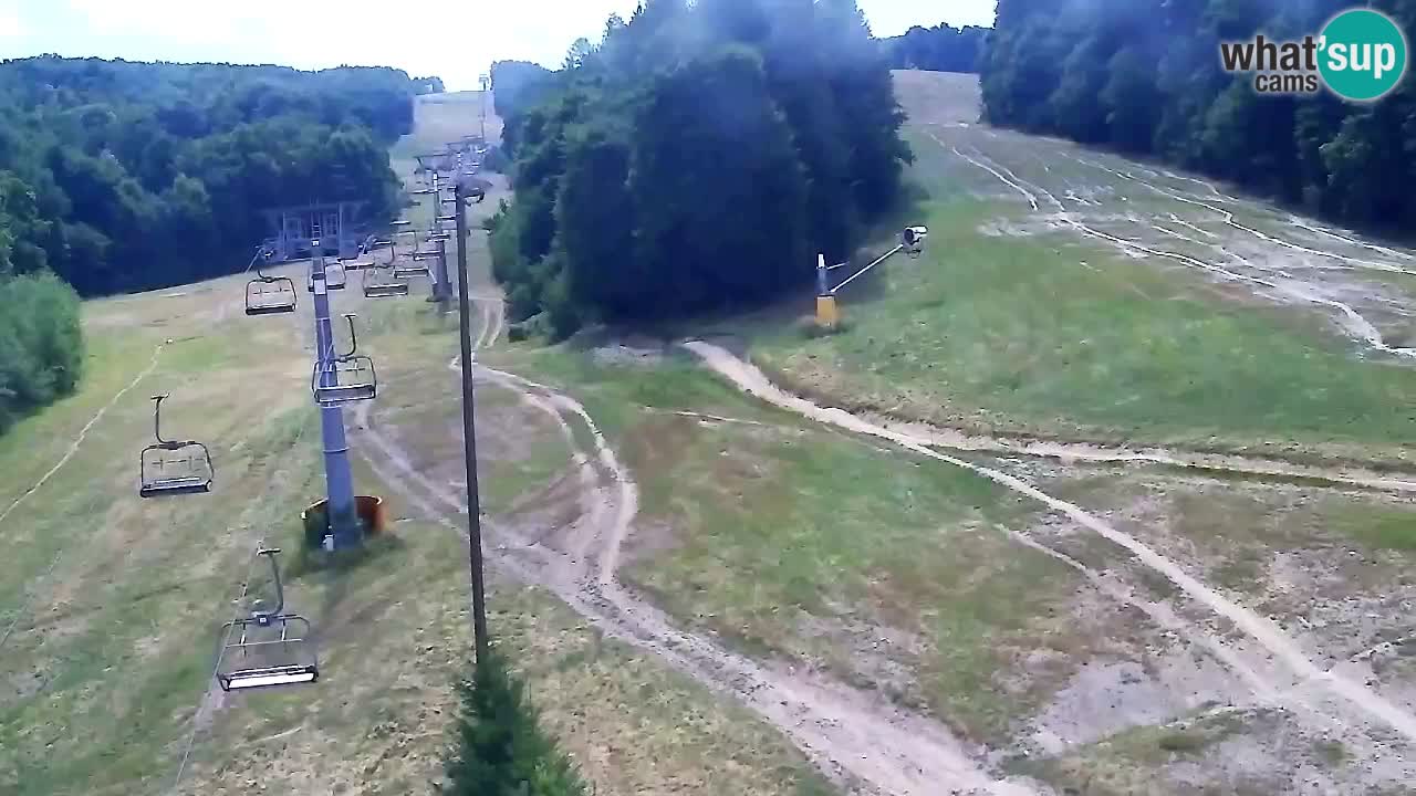 Webcam Pohorje Trikotna Jasa | Poštela