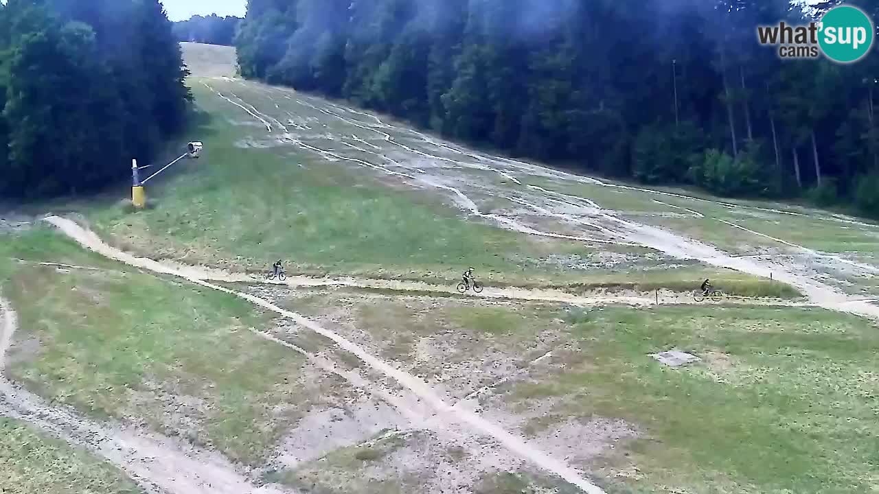 Web kamera Pohorje Trikotna Jasa | Poštela