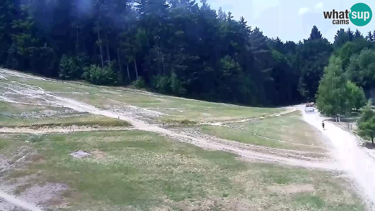 Webcam Pohorje Trikotna Jasa | Poštela