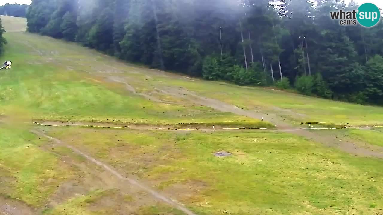 Webcam Pohorje Trikotna Jasa | Poštela
